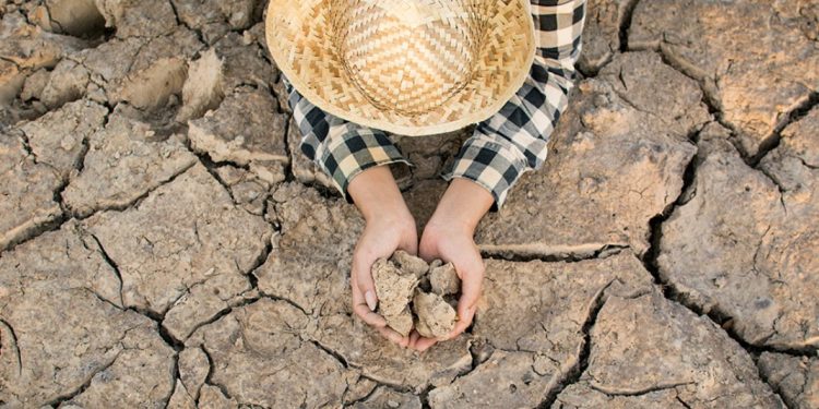 Sequía en México ya afecta 85% del territorio nacional; impacta la falta de lluvias