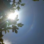 Inicia tercera onda de calor del año; temperaturas superarán los 40 °C