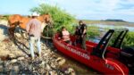 Rescatan a 30 caballos atrapados en isleta de la presa Cerro Prieto en NL