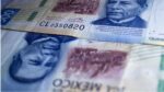 Así podría impactar en el valor del peso la Reforma Judicial según especialistas