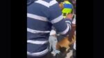 Perrito muerde a ladrón que recibió paliza en Tecámac