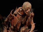 Últimos días de Our Body, el universo dentro": cierra sus puertas el 11 de agosto en CDMX