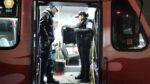 Hallan víbora en un camión de pasajeros en Pantitlán