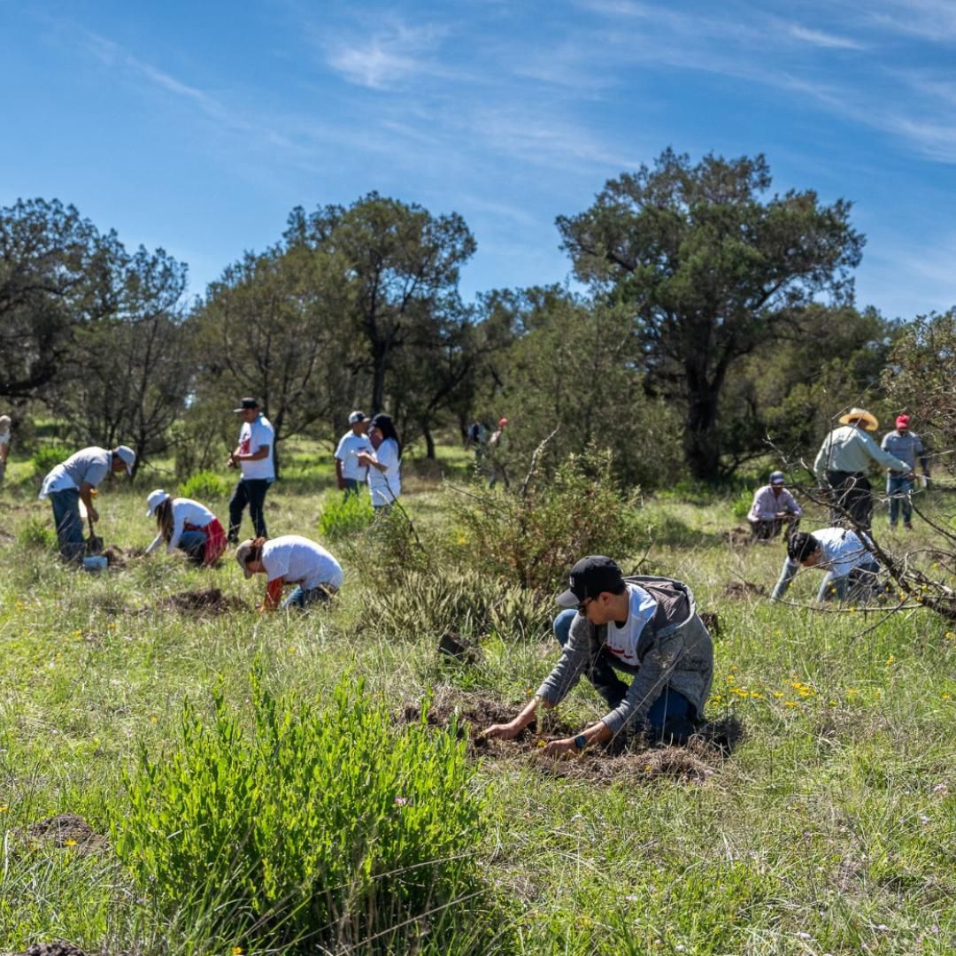 Impulsan conservación ambiental en Tlaxcala, con partición de empresas y ciudadanía Impulsan conservación ambiental en Tlaxcala, con partición de empresas y ciudadanía