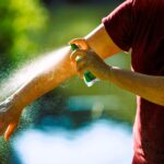 Aleja a los molestos insectos con repelentes naturales