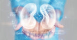 México entre los países con mayor índice de mortalidad por Enfermedad Renal en el mundo