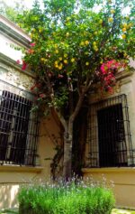Mexicanos prefieren viajes nacionales en verano