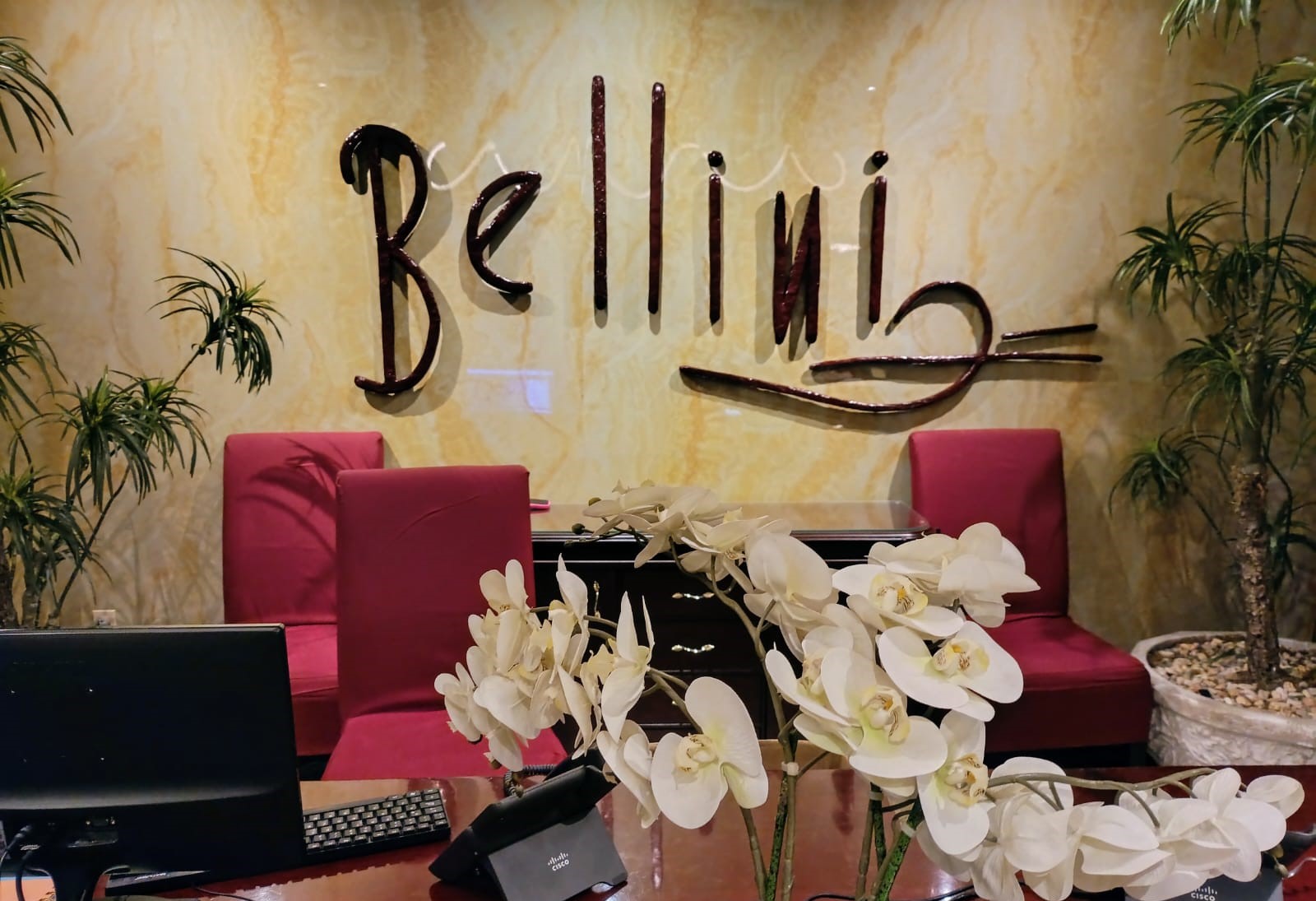 Bellini celebra 30 años como referente gastronómico, cultural y turístico en la ciudad de México Bellini celebra 30 años como referente gastronómico, cultural y turístico en la ciudad de México