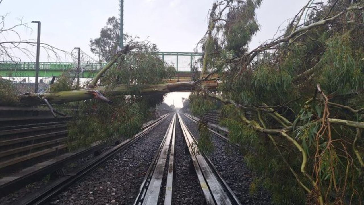 Suspenden servicio de la Línea B por árboles caídos sobre las vías Suspenden servicio de la Línea B por árboles caídos sobre las vías