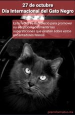 27 de octubre, Día del Gato Negro
