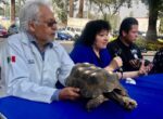 Las mascotas o animales de compañía no son juguetes y se debe tener la responsabilidad para el cuidado de un ser vivo