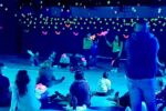 Vive la experiencia de la “Noche de Murciélagos” en la CDMX