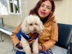 El Hospital Veterinario de la CDMX ofrece consultas, hospitalización, cirugías y diagnósticos especializados al servicio del bienestar animal