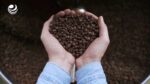 Lanzan campaña nacional ¡Pide un café mexicano!