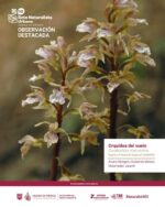 Presentan los resultados del Reto Naturalista Urbano 2025 Ciudad de México