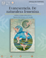 El Museo de la Mujer presenta la exposición temporal “Eva-nescencia. De naturaleza femenina” de la artista Sandra López Dávila