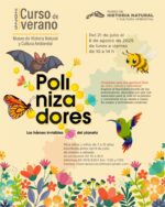 Invita SEDEMA al curso de verano infantil “Polinizadores: lo héroes invisibles del planeta”