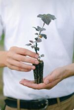 Promueven premio a la innovación en seguros con impacto social y ambiental