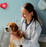 Economía colaborativa llega al sector veterinario