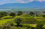 Guachimontones, arqueología de otro mundo