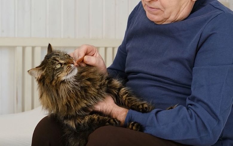 Síndrome del Arca de Noé, es más común