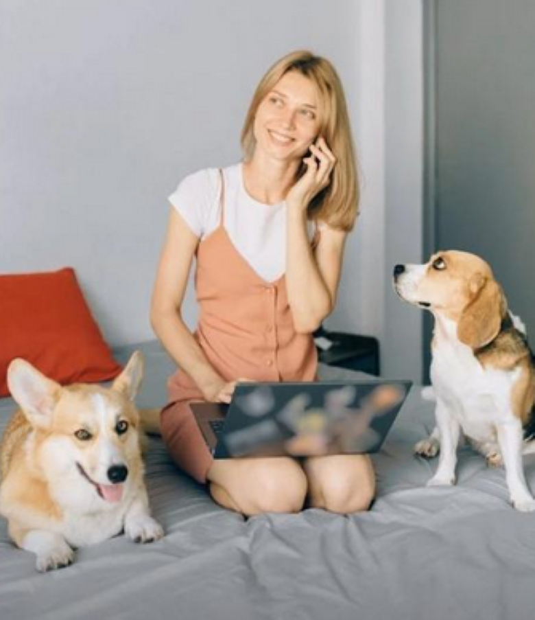 En México, 7 de cada 10 hogares tienen una mascota En México, 7 de cada 10 hogares tienen una mascota