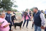  En Guanajuato la protección y el bienestar animal ya es un derecho constitucional