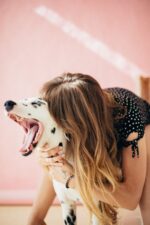 El amor y cuidados son clave para mantener una mascota feliz