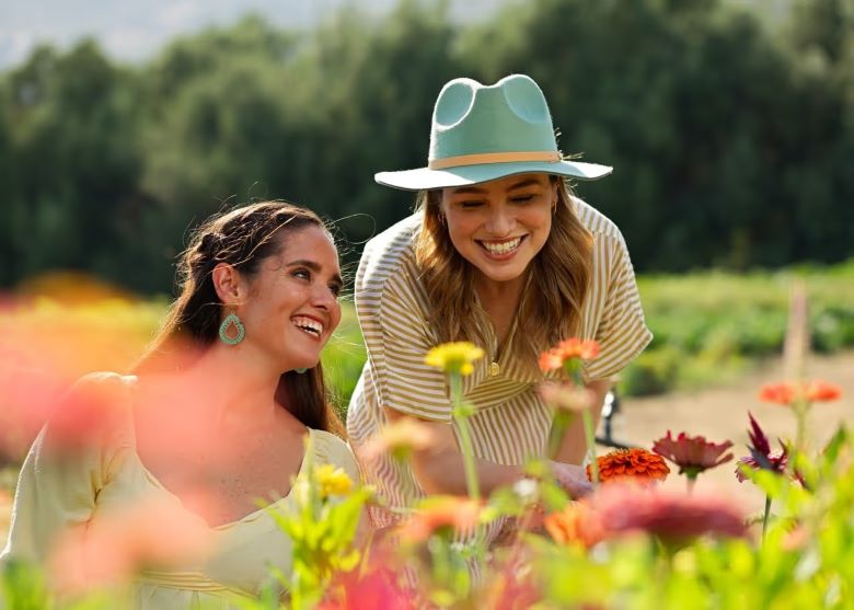 La ruta de las flores: Cuando el desierto se llena de color