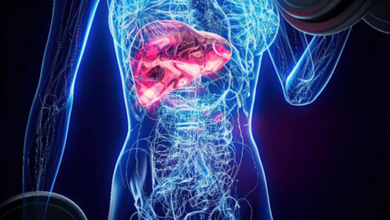 El hígado graso avanza sin síntomas en millones de personas: nuevas herramientas logran detectarlo antes de que sea irreversible