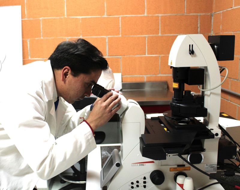 Desarrollan en IPN modelo personalizado para niños con cáncer; buscan más efectividad en tratamientos