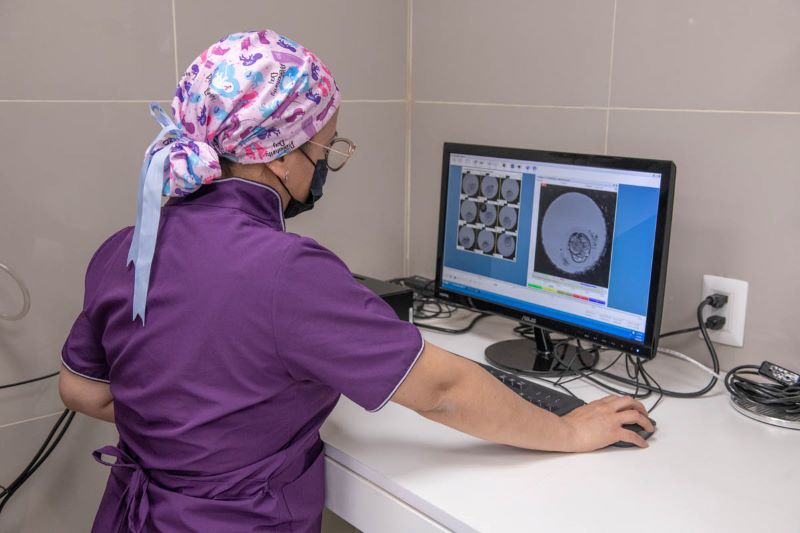 Preservación de fertilidad debe garantizar seguridad del material biológico