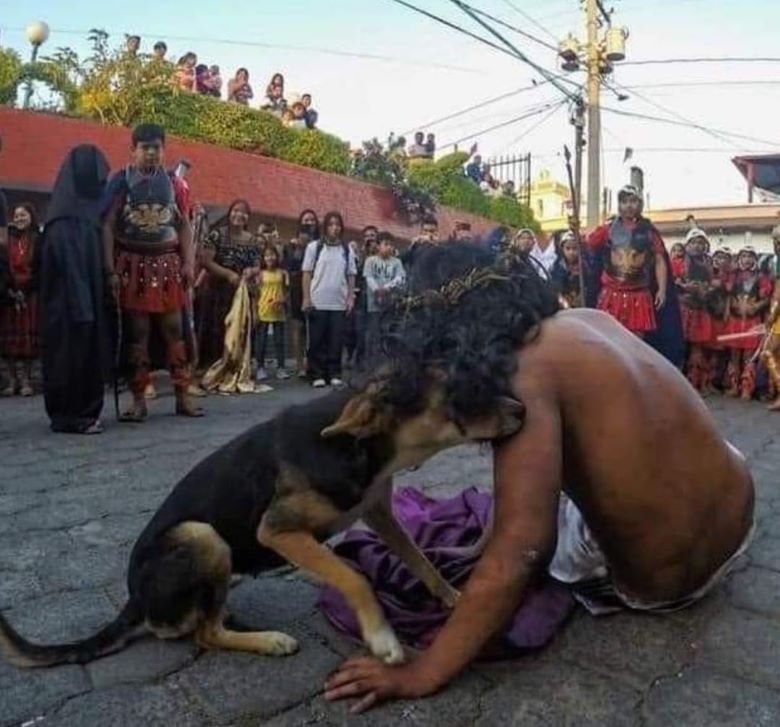 Perrito consoló a Jesús