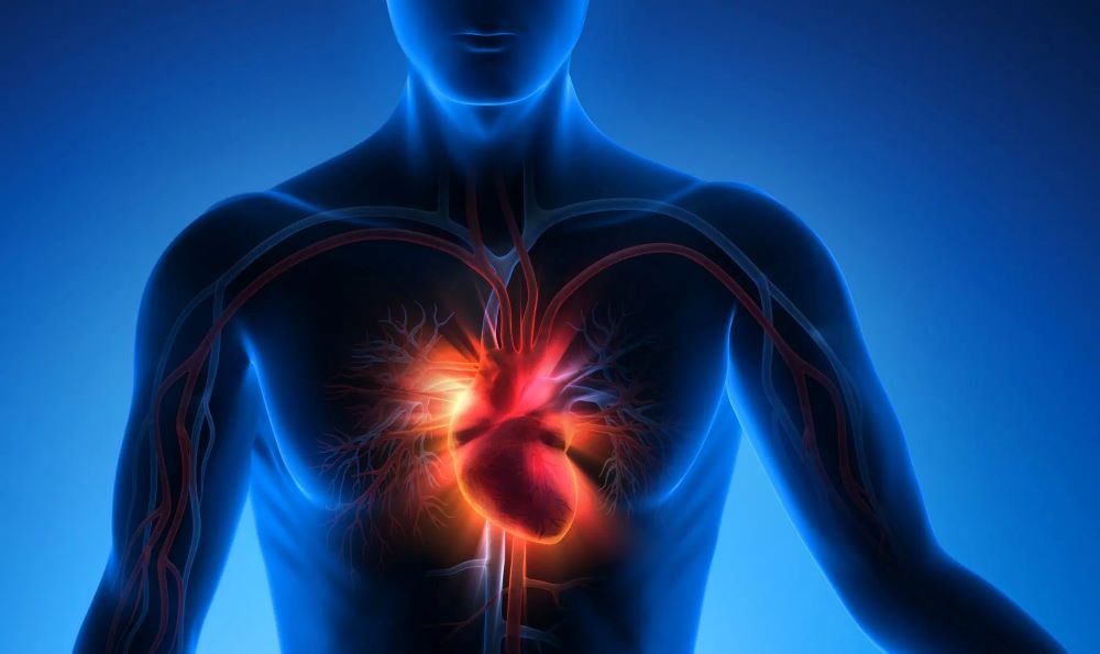 Pasión mundialista y salud cardiovascular: ¿Sabías que emociones intensas pueden impactar el corazón de los aficionados?