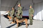 Marina jubila y rinde homenaje a Niko, Hunter e Hidra, héroes de cuatro patas que concluyen su servicio a México