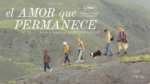 La aclamada joya islandesa «El amor que permanece» llega a cines de México el 31 de julio