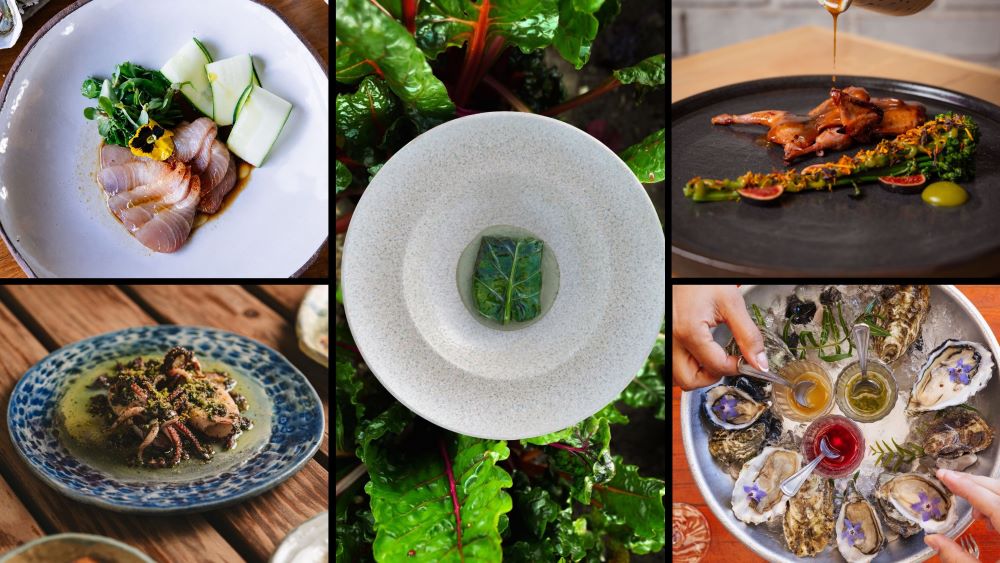 Baja California lidera la gastronomía sustentable de México en la Guía MICHELIN 2026