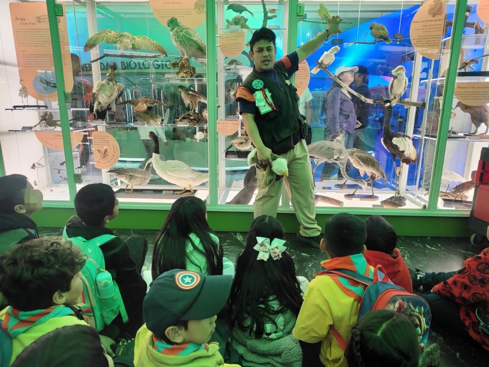 Sedema invita a disfrutar una semana de ciencia, naturaleza y experiencias inmersivas en el Museo de Historia Natural y Cultura Ambiental Sedema invita a disfrutar una semana de ciencia, naturaleza y experiencias inmersivas en el Museo de Historia Natural y Cultura Ambiental