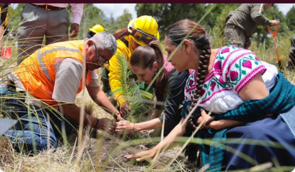 La Presidenta Claudia Sheinbaum encabeza inicio de la Jornada Nacional de Reforestación 2026 La Presidenta Claudia Sheinbaum encabeza inicio de la Jornada Nacional de Reforestación 2026