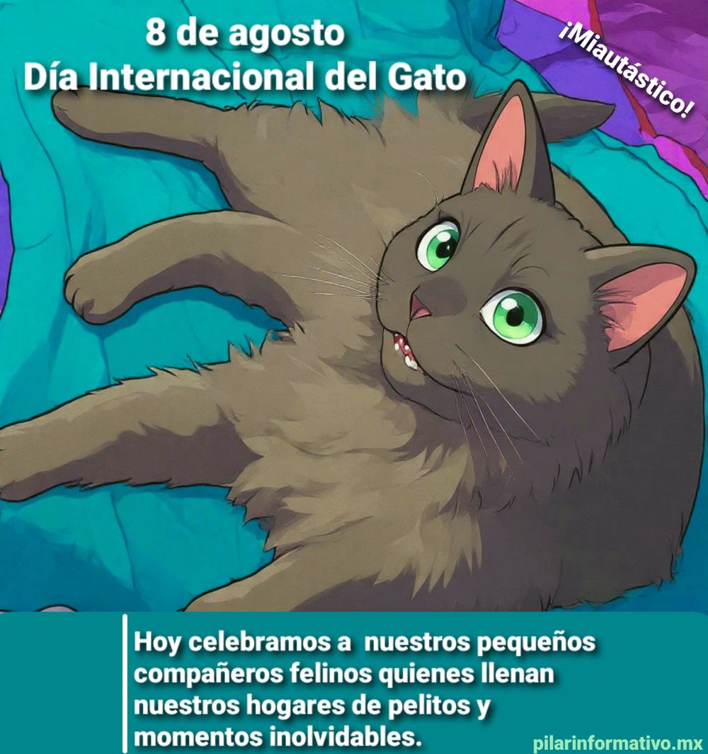Día Internacional del Gato, una fecha que nos recuerda la importancia de cuidarlos y brindarles bienestar