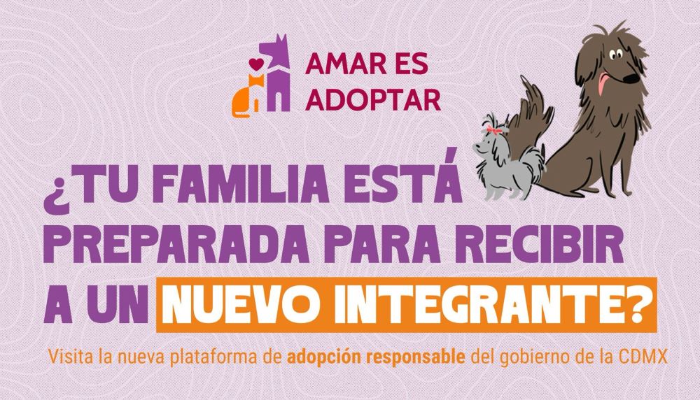 Inicia jornada de adopción de lomitos rescatados en la CDMX Inicia jornada de adopción de lomitos rescatados en la CDMX