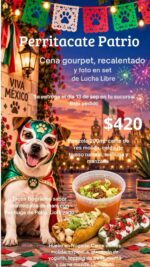 Perritacate Patrio: Llao’s Pet celebra las Fiestas Patrias con un menú muy mexicano para los lomitos