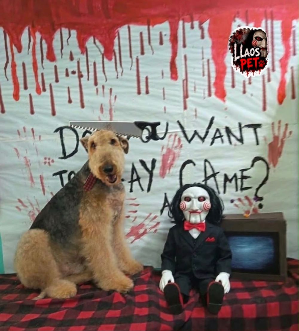 LLAO’S PET celebra el amor por los perritos que han trascendido con un divertido set fotográfico de Día de Muertos