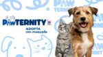 Hill’s Pet Nutrition lanza Pawternity para transformar la adopción de mascotas en México