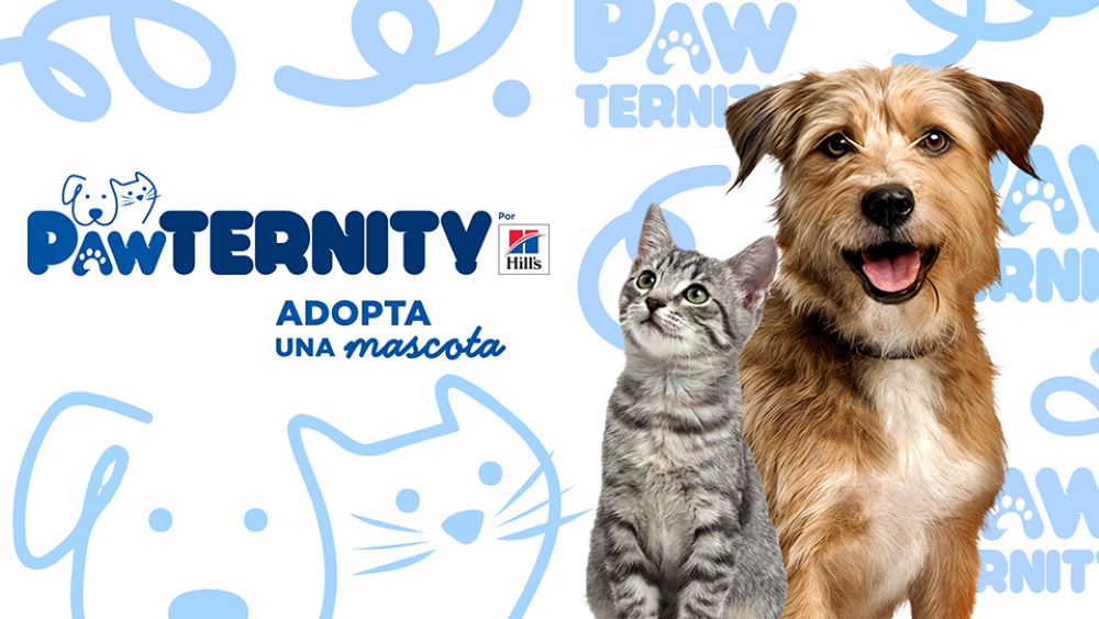 Hill’s Pet Nutrition lanza Pawternity para transformar la adopción de mascotas en México