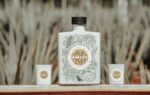 El gifting corporativo fortalece el 80% de las alianzas C-Level y consolida la cultura interna
